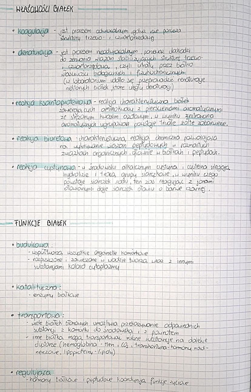 
<p>Ważne jest zrozumienie właściwości aminokwasów, ich różnych rodzajów oraz jakie białka są z nimi związane. Istnieje podział białek ze wz