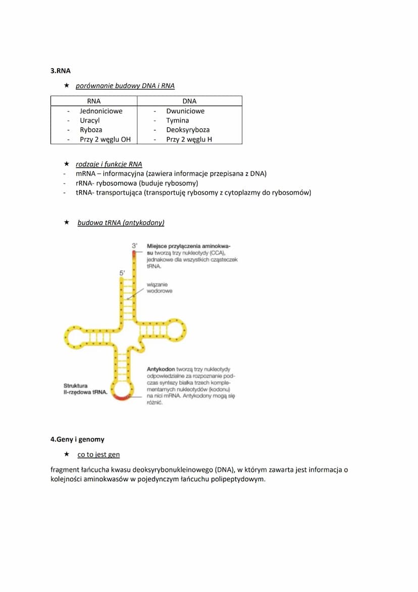 1.DNA-lokalizacja w komórce i rola
budowa pojedynczego nukleotydu
O
01P10
wiązanie
estrowe 5
reszta fosforanowa(V)
Reszty fosforanowe(V)
w f