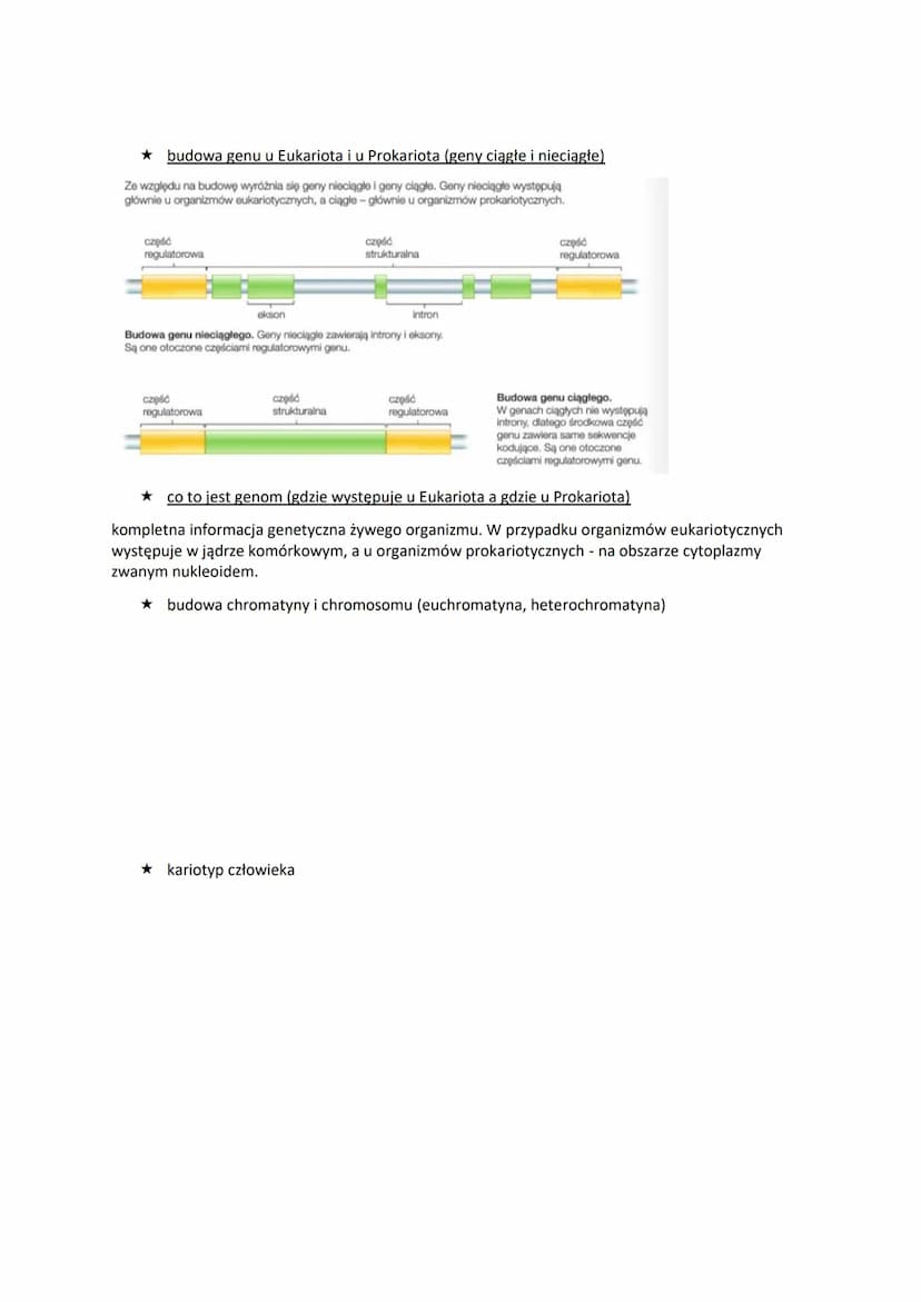 1.DNA-lokalizacja w komórce i rola
budowa pojedynczego nukleotydu
O
01P10
wiązanie
estrowe 5
reszta fosforanowa(V)
Reszty fosforanowe(V)
w f