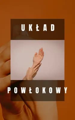 Know układ powłokowy thumbnail