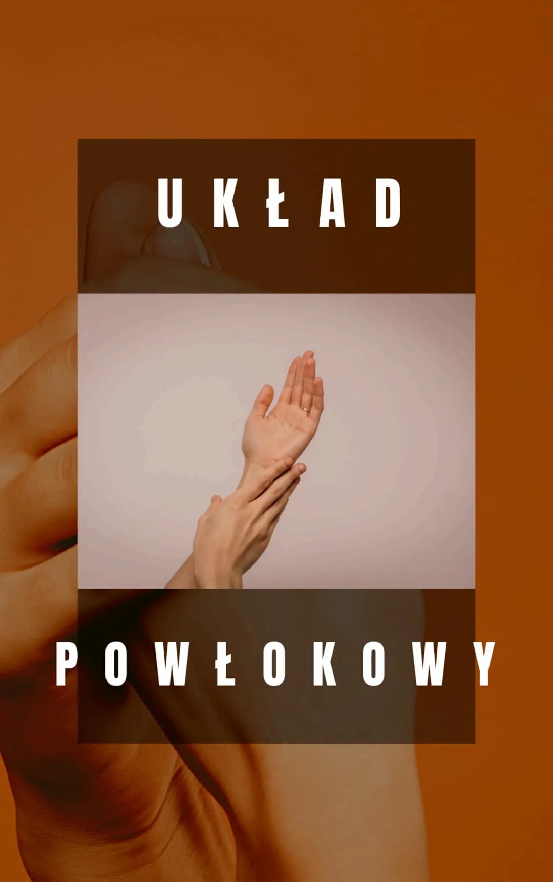 UKŁAD
POWŁOKOWY badowanhomenager
1. naskórek
↳ zbudowany 2 nabłonka wielowarstwowego płaskiego rogowaciejącego
warstwa rogowaciejąca - powie