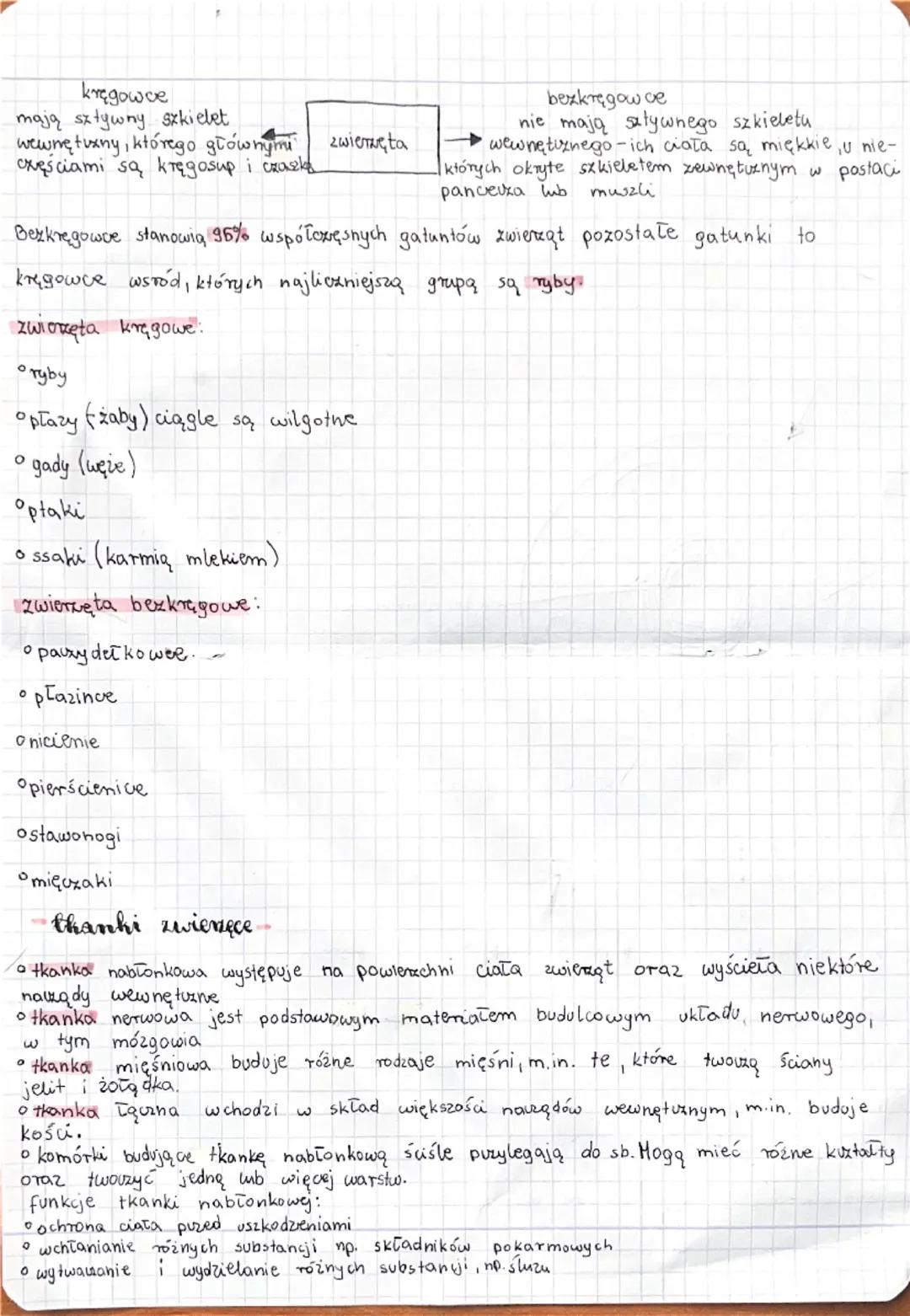 w królestwie zwienąt

wspólne cechy zwierząt

Osq organizmami widokomórkowymi

o są zbudowane z komórek jgarowych, które nie mają, ściany ko