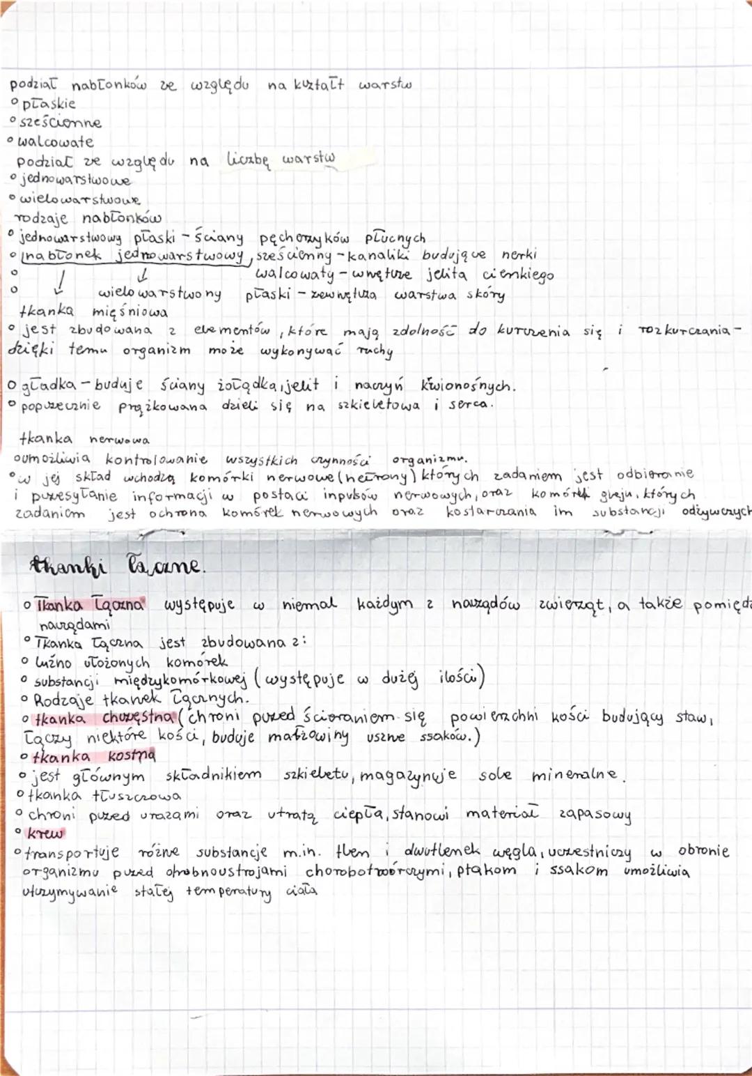 w królestwie zwienąt

wspólne cechy zwierząt

Osq organizmami widokomórkowymi

o są zbudowane z komórek jgarowych, które nie mają, ściany ko