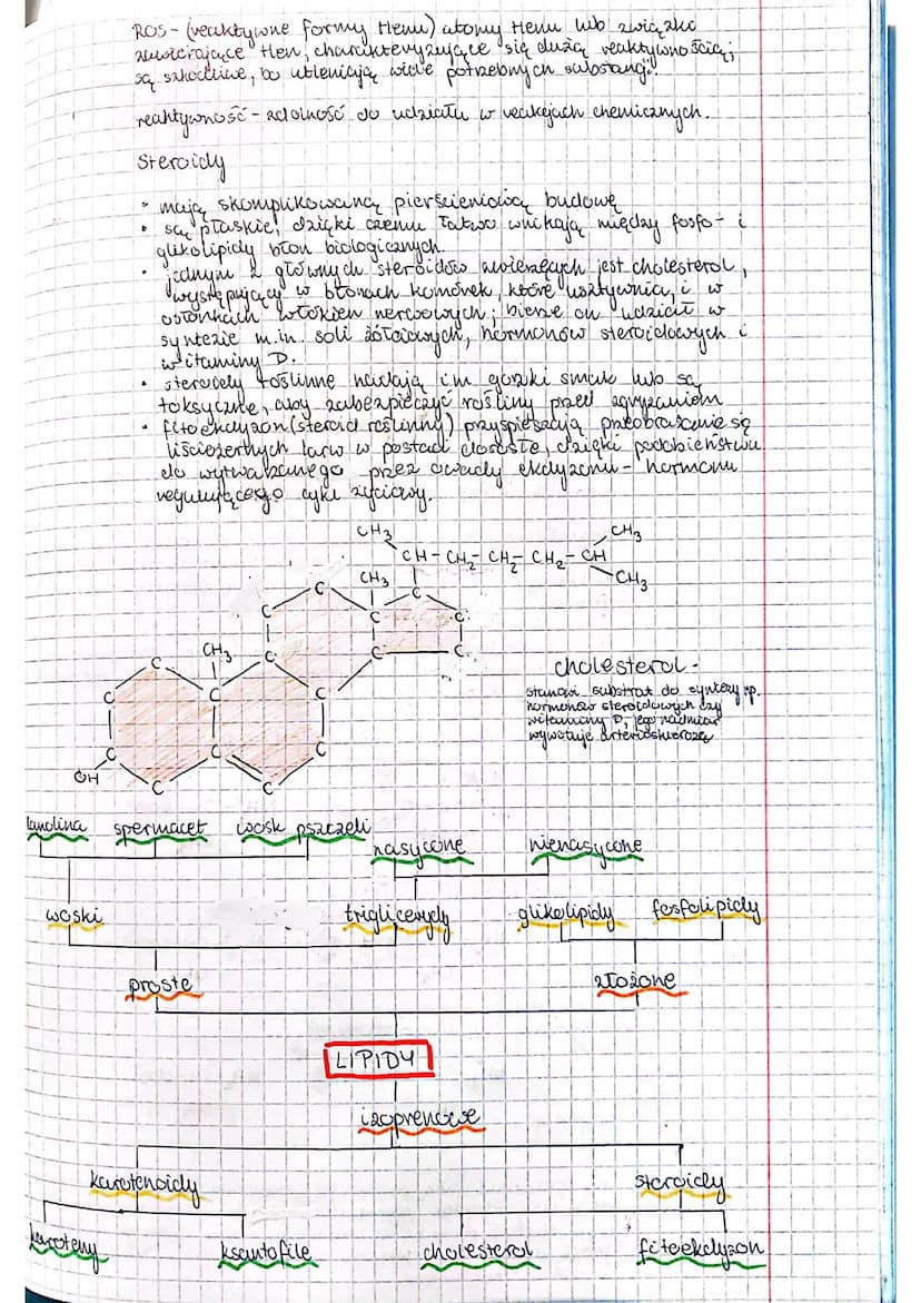 Składniki nisorganiczne
Pierwiastki
makroelementy (0,01%)
mikroelementy (0,01%-000001%)
(< 0,00001%)
ultra elementy.
sucha masa-masa po wysu