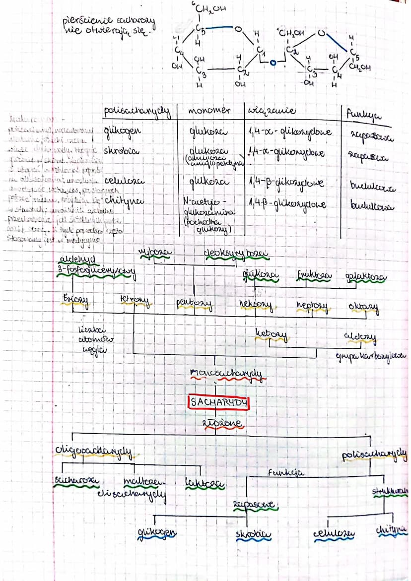 Składniki nisorganiczne
Pierwiastki
makroelementy (0,01%)
mikroelementy (0,01%-000001%)
(< 0,00001%)
ultra elementy.
sucha masa-masa po wysu