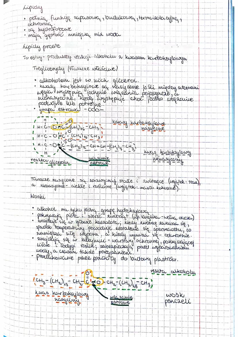 Składniki nisorganiczne
Pierwiastki
makroelementy (0,01%)
mikroelementy (0,01%-000001%)
(< 0,00001%)
ultra elementy.
sucha masa-masa po wysu