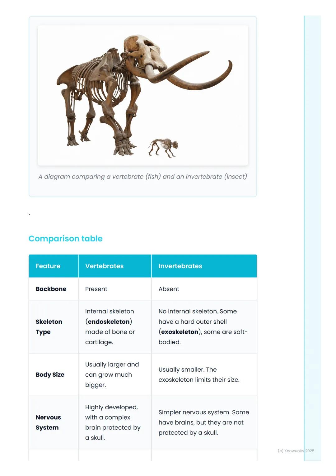 # Vertebrates and
Invertebrates

Introduction to animal classification

All living things are sorted into groups to make them easier to stud