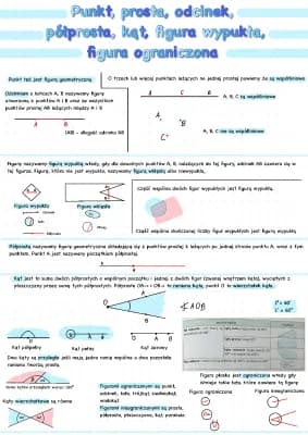 Know geometria płaska - trójkąty thumbnail