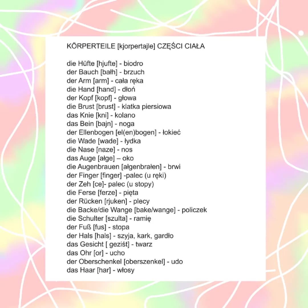Części ciała po niemiecku