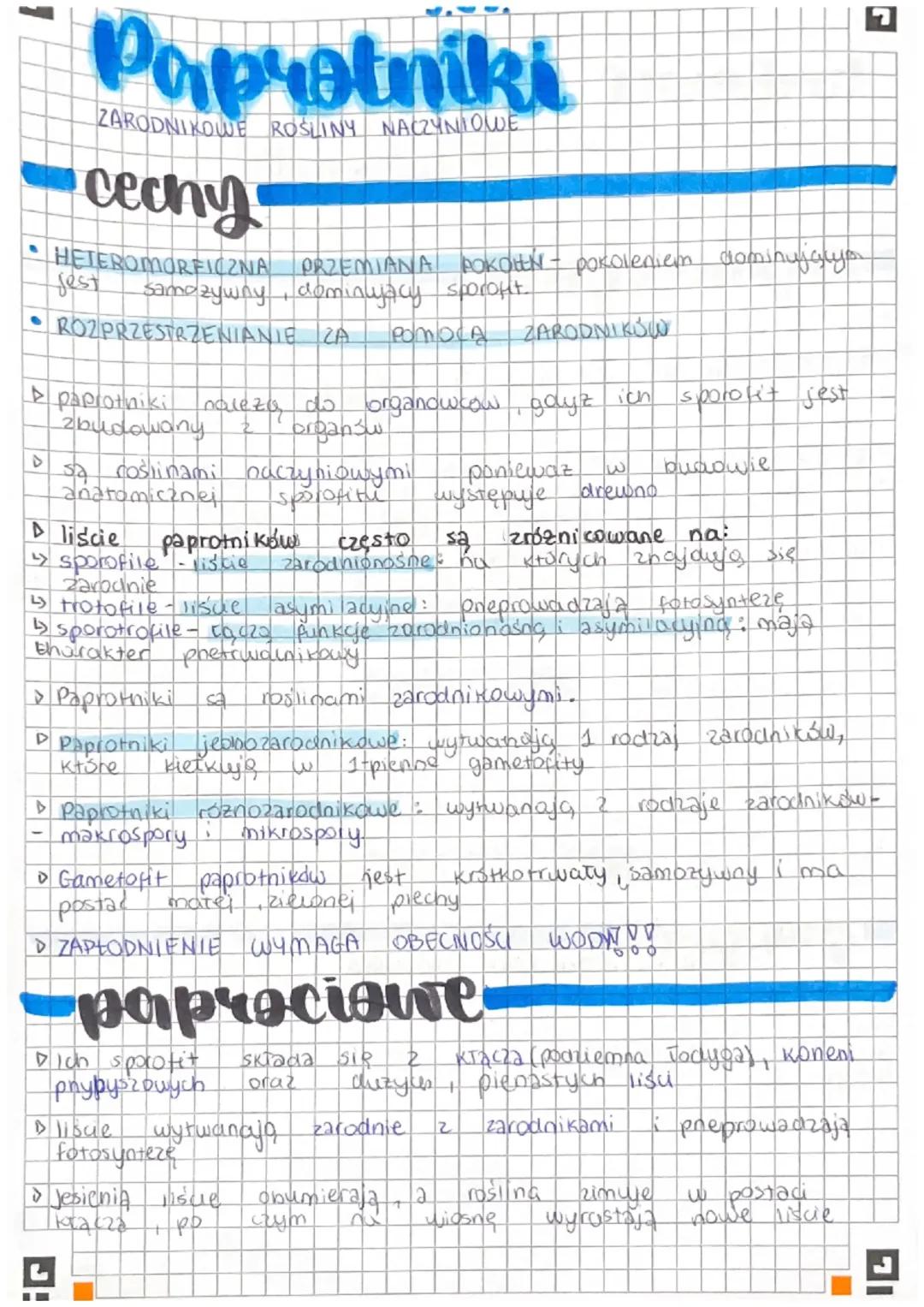 Paprotniki- zarodnikowe rośliny naczyniowe