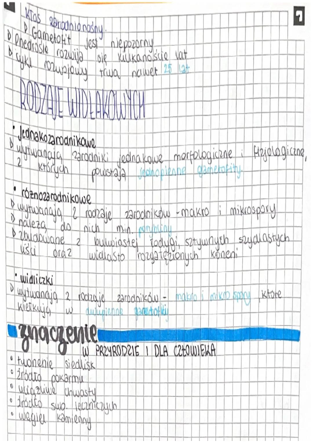 .
Paprotniki
ZARODNIKOWE ROŚLINY NACZYNIOWE
cechy
HETEROMORFICZNA PRZEMIANA POKON - pokoleniem dominującym
Samdzywny, dominujacy sporofit
Je