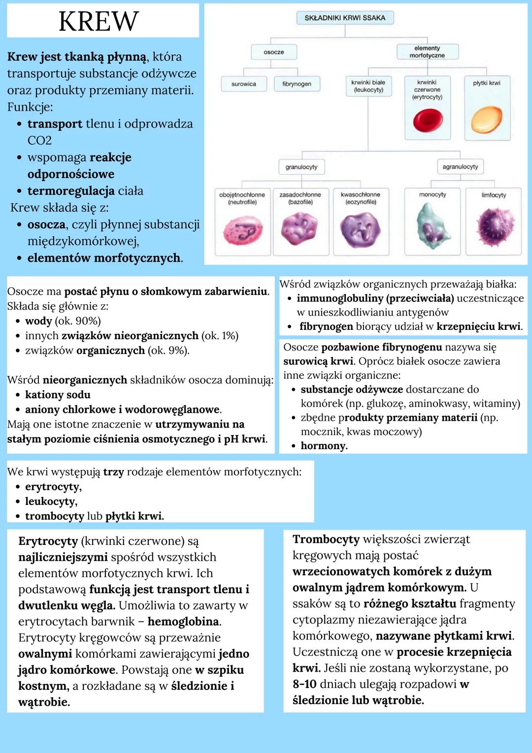 # TKANKA ŁĄCZNA

## Pochodzenie tkanki:
mezoderma

## Cechy budowy:
- zbudowana z luźno ułożonych komórek
- wywarzają one sub. międzykomórko