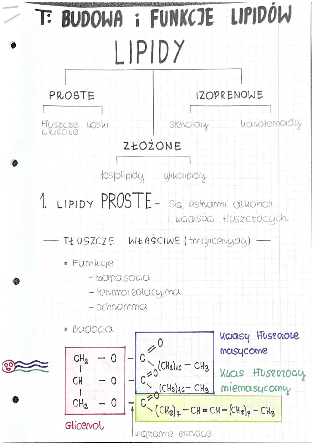 Budowa i funkcje lipidów