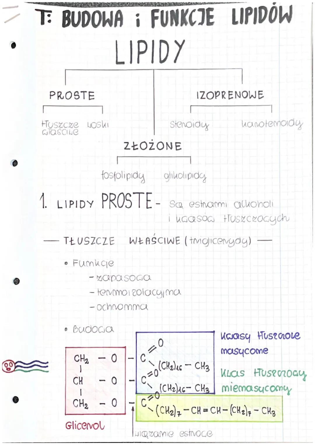 T: BUDOWA FUNKCJE LIPIDÓW
LIPIDY
PROSTE
IZOPRENOWE
Huszcze Loski
Stenoidy
karotenoidy
QTQSCILe
ZŁOŻONE
fosfolipidy glikolipidg
1. LIPIDY PRO