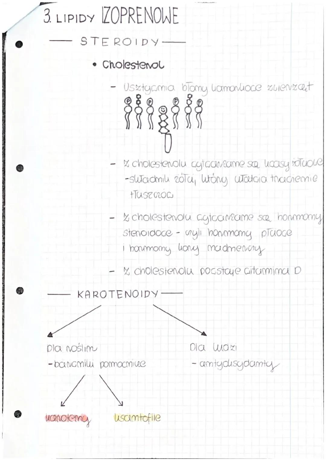 T: BUDOWA FUNKCJE LIPIDÓW
LIPIDY
PROSTE
IZOPRENOWE
Huszcze Loski
Stenoidy
karotenoidy
QTQSCILe
ZŁOŻONE
fosfolipidy glikolipidg
1. LIPIDY PRO