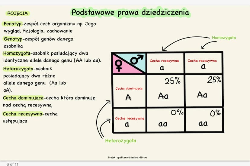 Zakres badań genetyki
-medycyna
-kryminalistyka
-rolnictwo
-archeologia
Dziedziczne
Dziedziczenie polega na
przeniesieniu cech z jednego
pok