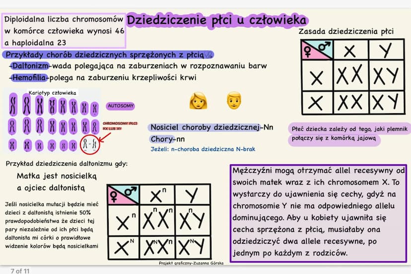Zakres badań genetyki
-medycyna
-kryminalistyka
-rolnictwo
-archeologia
Dziedziczne
Dziedziczenie polega na
przeniesieniu cech z jednego
pok