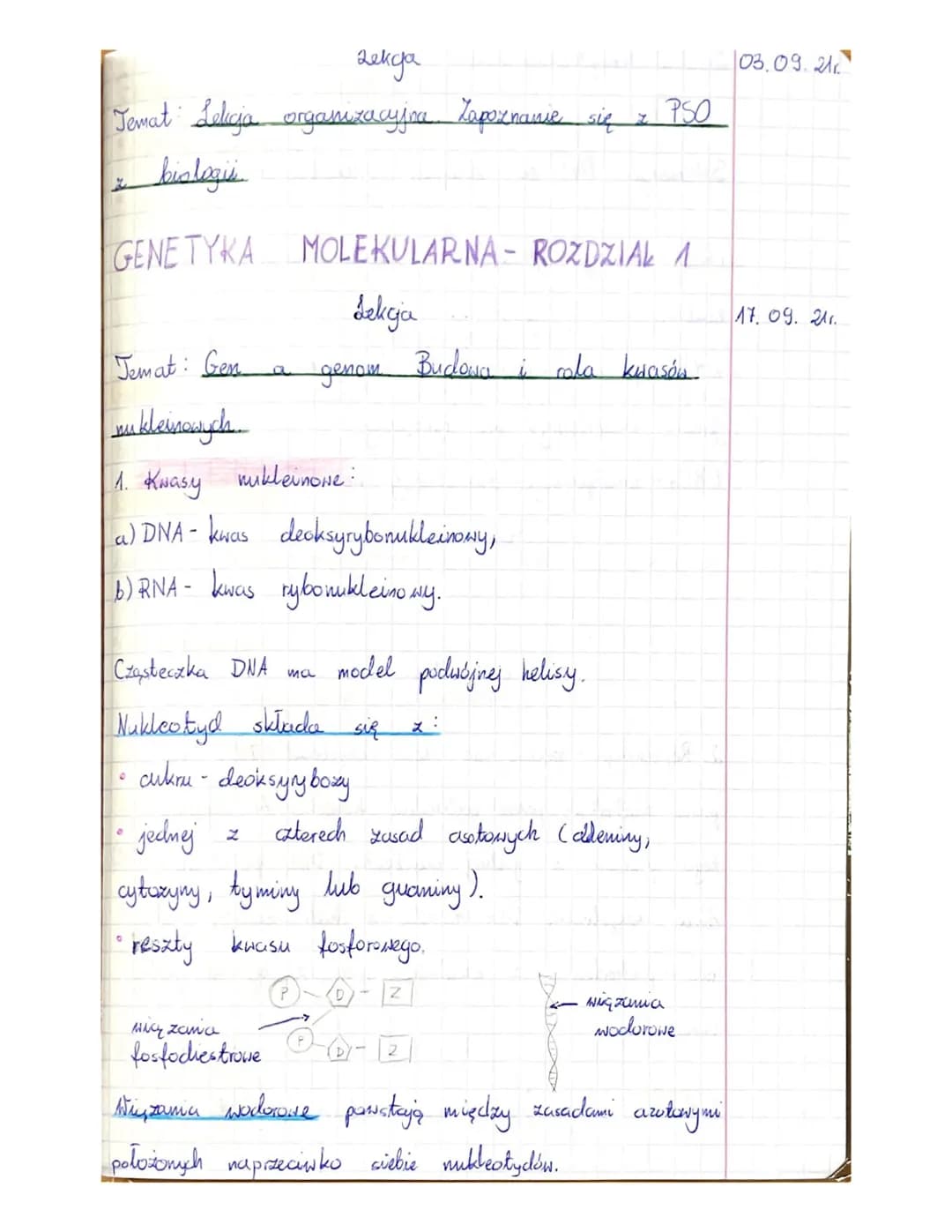 аленда
Temat Laliga organizacyjna Zapoznanie się z PSO
biologis
GENETYKA
Temat: Gen
nukleinowych...
1. Kwasy nukleinone:
a) DNA- kwas decksy