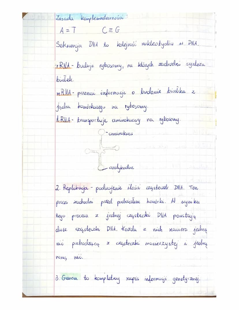 аленда
Temat Laliga organizacyjna Zapoznanie się z PSO
biologis
GENETYKA
Temat: Gen
nukleinowych...
1. Kwasy nukleinone:
a) DNA- kwas decksy