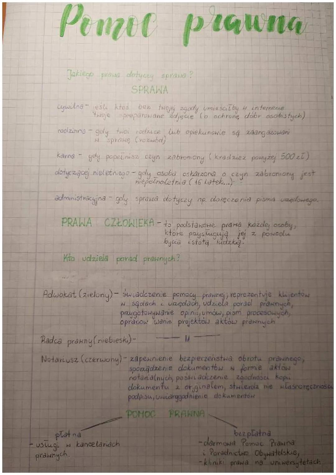 Profesjonalna Pomoc Prawna