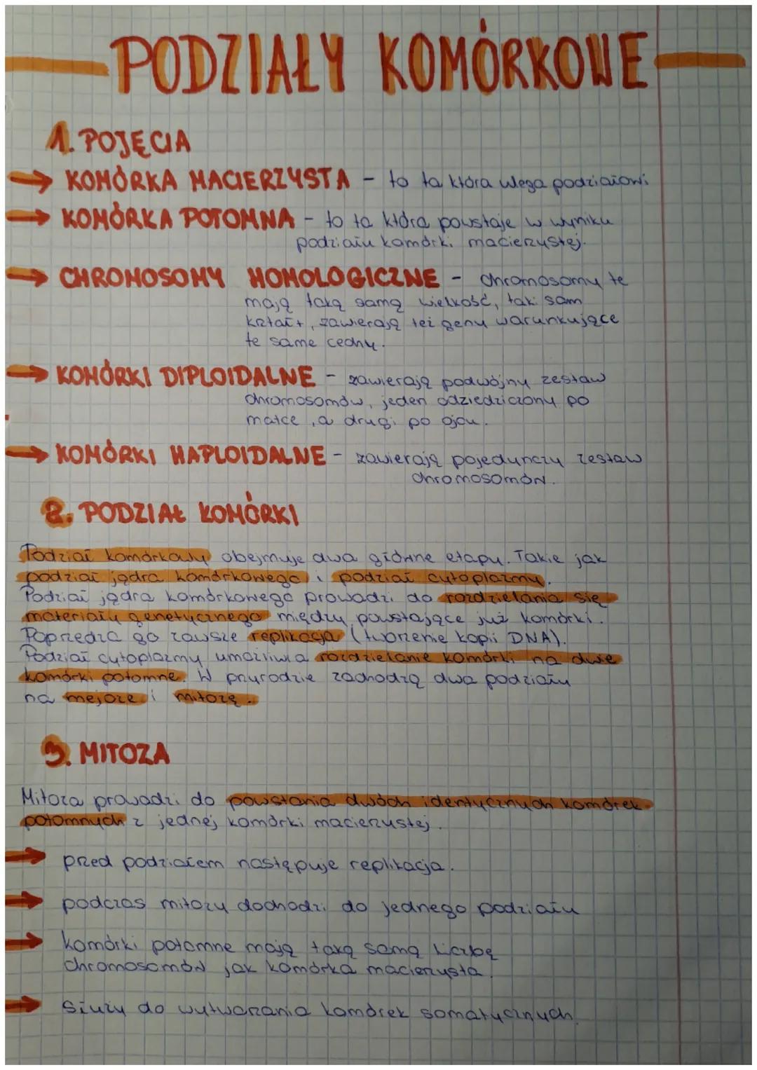 # PODZIAŁY KOMÓRKOWE

1. POJĘCIA

→ KOMÓRKA MACIERZYSTA - to ta która ulega podziałowi

→ KOMÓRKA POTOMNA - to ta która powstaje w wyniku
po
