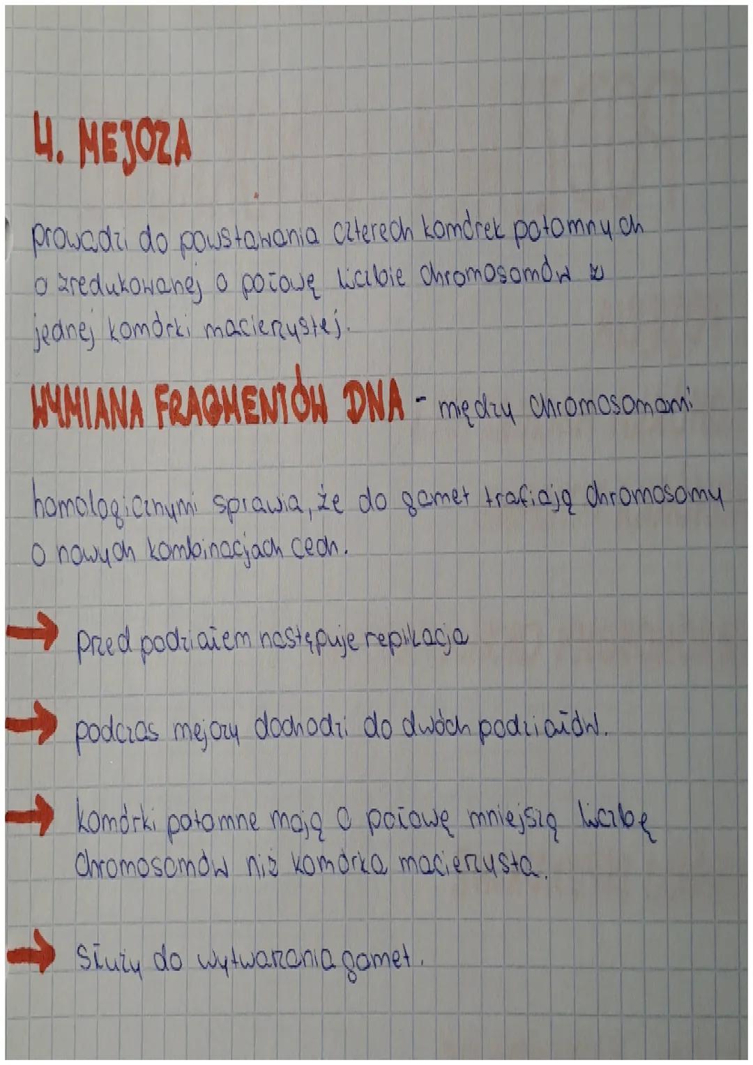 # PODZIAŁY KOMÓRKOWE

1. POJĘCIA

→ KOMÓRKA MACIERZYSTA - to ta która ulega podziałowi

→ KOMÓRKA POTOMNA - to ta która powstaje w wyniku
po