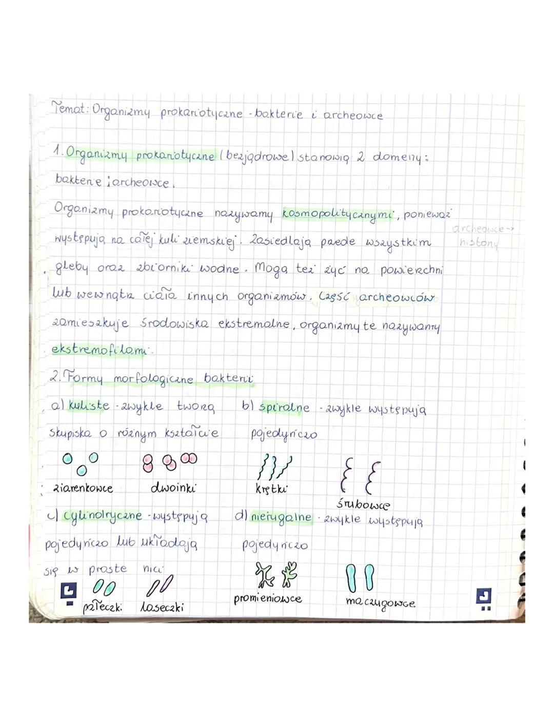 organizmy prokariotyczne- bakterie i archeowce