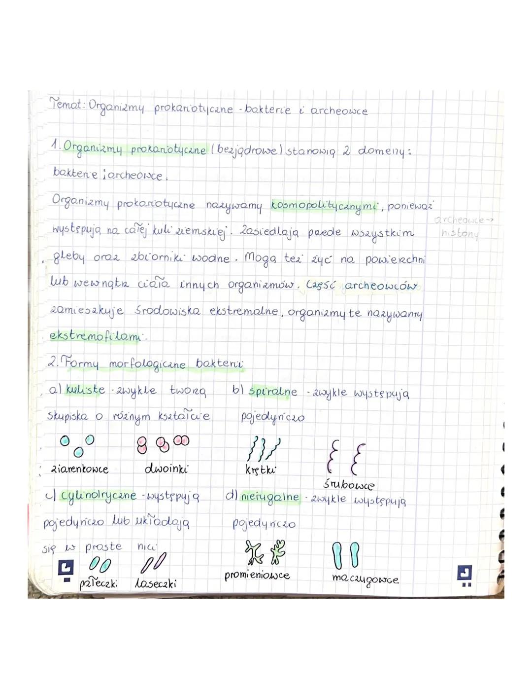Temat: Organizmy prokariotyczne - bakterie i archeowce
1
• Organizmy prokariotyczne (bezjądrowe) stanowią 2 domeny:
baktene archeoice.
Organ