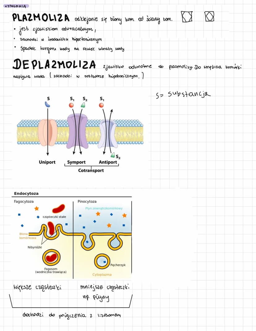 (2)
CYTOLOGIA
Ⓒ
Porównanie komórek:
eukariotyczna ma
ORGANELLUM struktura jest obtoniona !!!
komórce
COMPARTMENTACJA predziały W
↳s (nie ma 