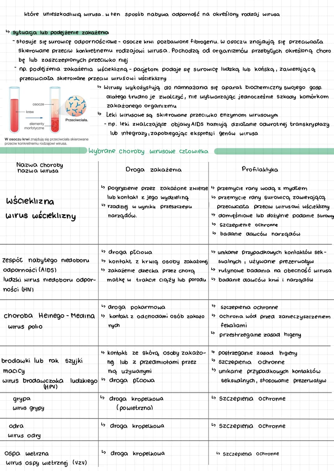 <h2 id="wirusy">Wirusy</h2>
<p>Wirusy są czynnikami zakaźnymi zbudowanymi z białka i kwasu nukleinowego. Są to wewnątrzkomórkowe pasożyty, a