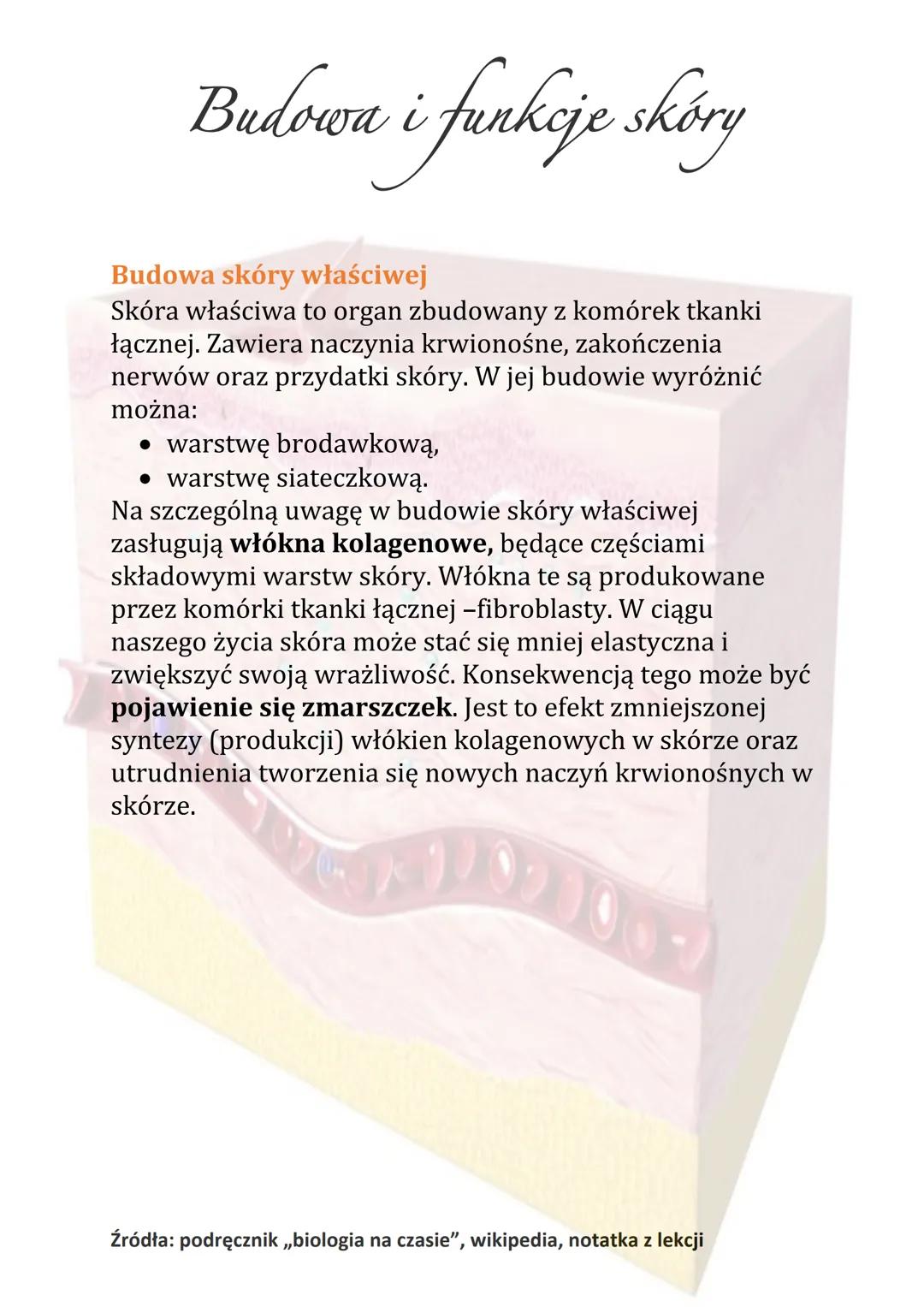 Budowa i funkcje skóry
Naskórek zbudowany jest z keratynocytów. W jego skład
wchodzi kilka wyspecjalizowanych warstw. Pełnią one
inne funkcj