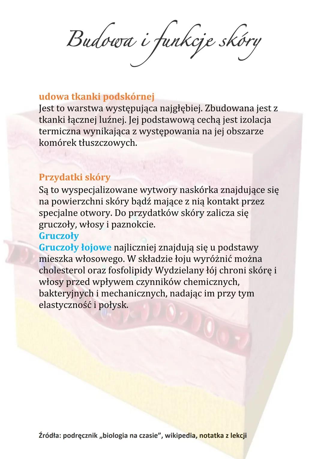 Budowa i funkcje skóry
Naskórek zbudowany jest z keratynocytów. W jego skład
wchodzi kilka wyspecjalizowanych warstw. Pełnią one
inne funkcj