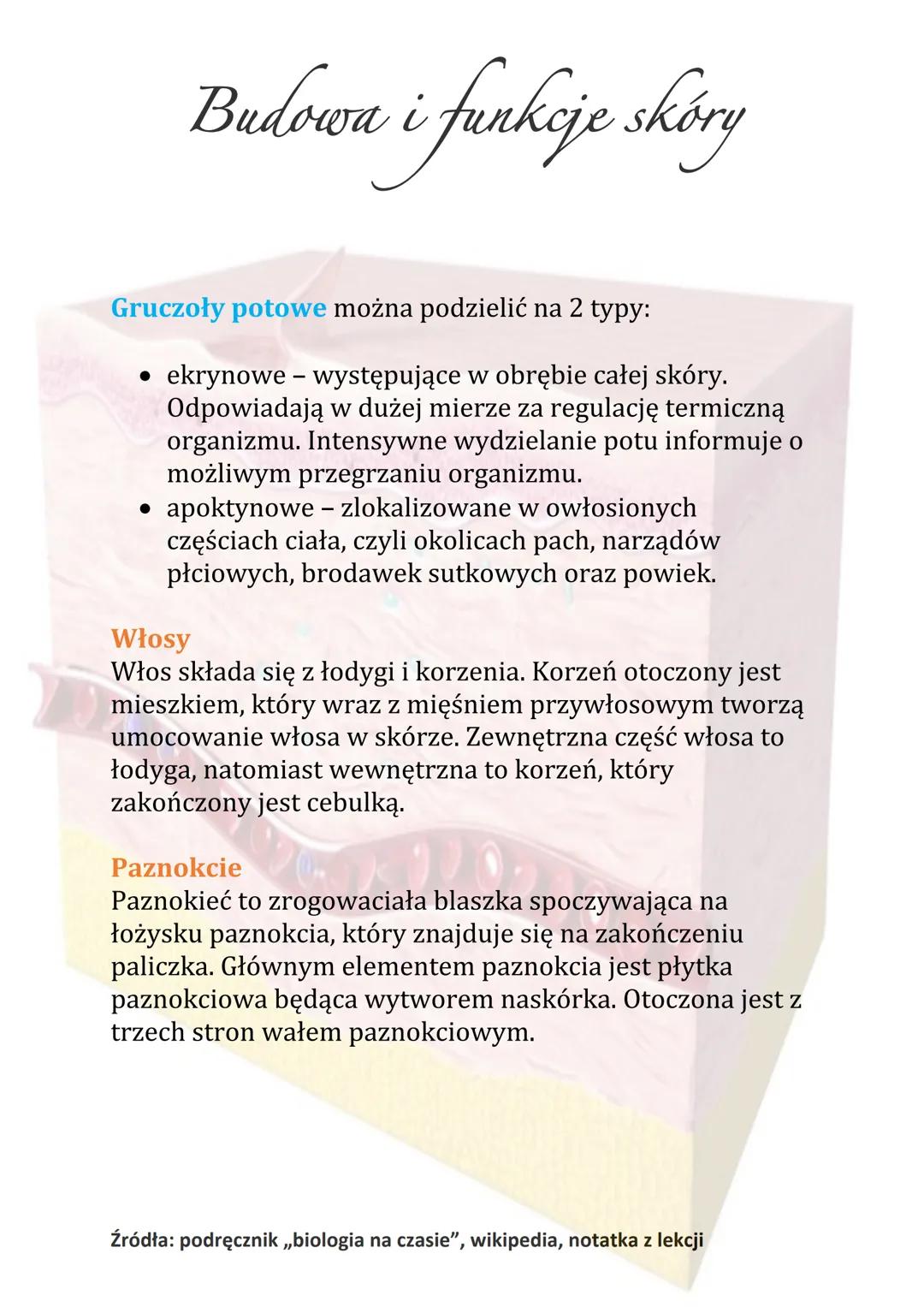 Budowa i funkcje skóry
Naskórek zbudowany jest z keratynocytów. W jego skład
wchodzi kilka wyspecjalizowanych warstw. Pełnią one
inne funkcj