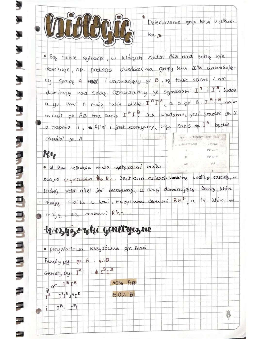Dziedziczenie grup krwi u człowieka - Informacje dla klasy 8