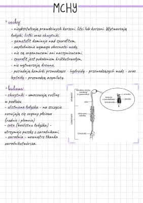 Know Mchy - cechy oraz budowa - biologia rozszerzona thumbnail