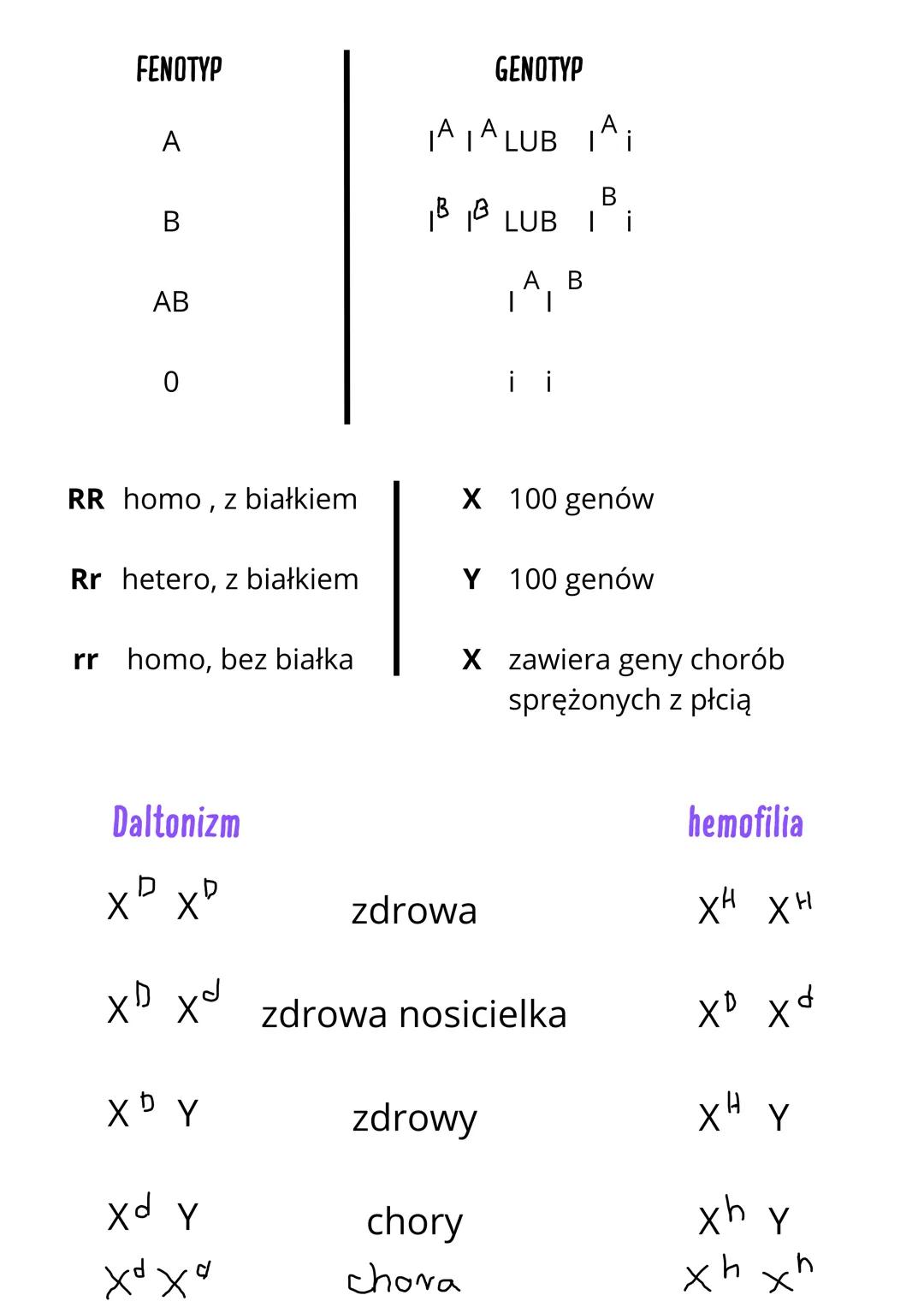 Genetyka

dziedziczone

Cechy

niedziedziczone

• gatunkowe,

• środowiskowe

• indywidualne

• Budowa DNA i nukleotydu

reszta kwasu
fosfor