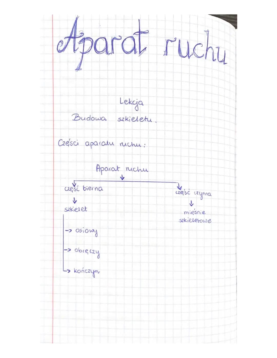 Aparat ruchu
Budowa
Czesci aparatu ruchu:
Aparat ruchu
część bierna
✓
szkielet
->
^
Lekcja
szkieletu.
osiowy
obręczy
kończyn
część czynna
↓
