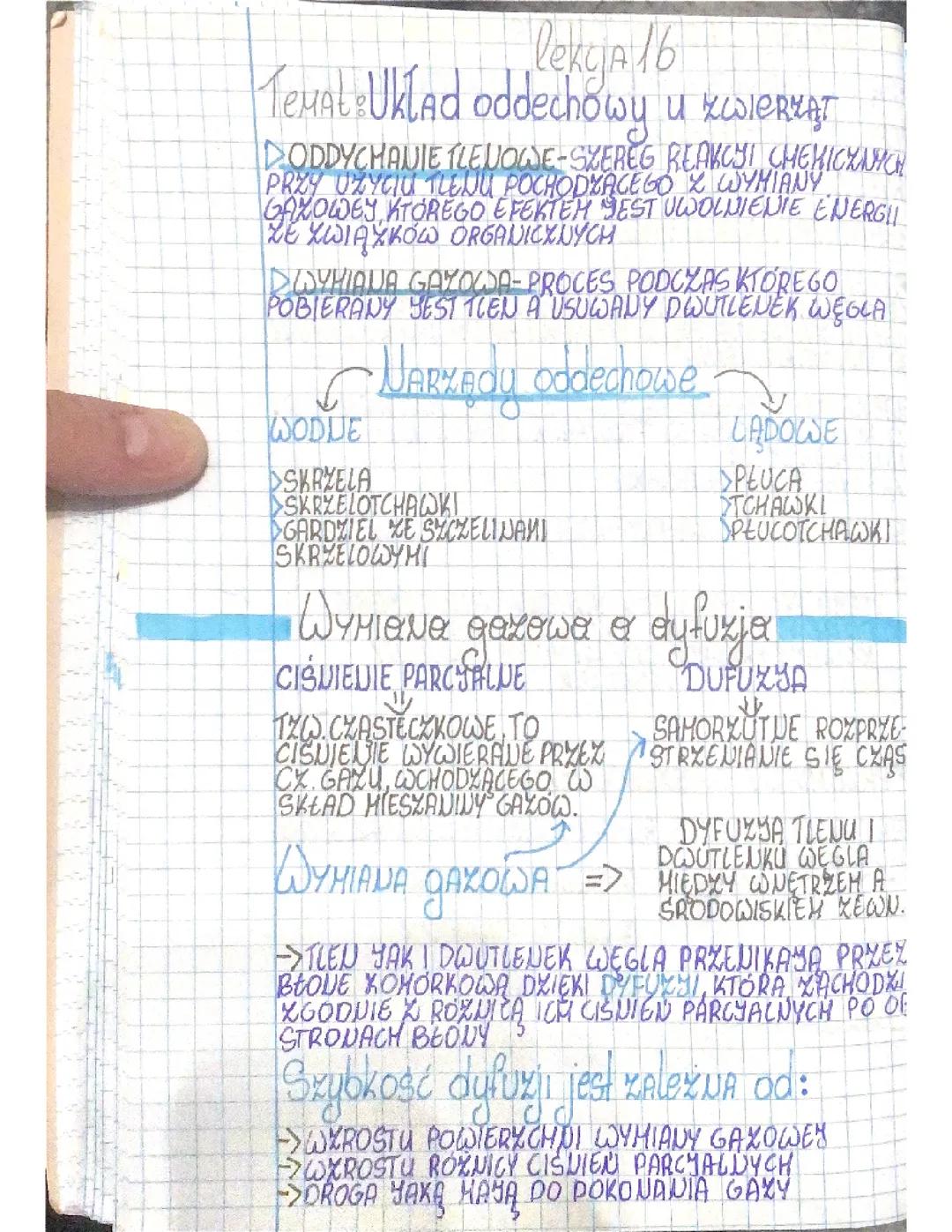 Układ Oddechowy u Zwierząt - Podstawowe Informacje