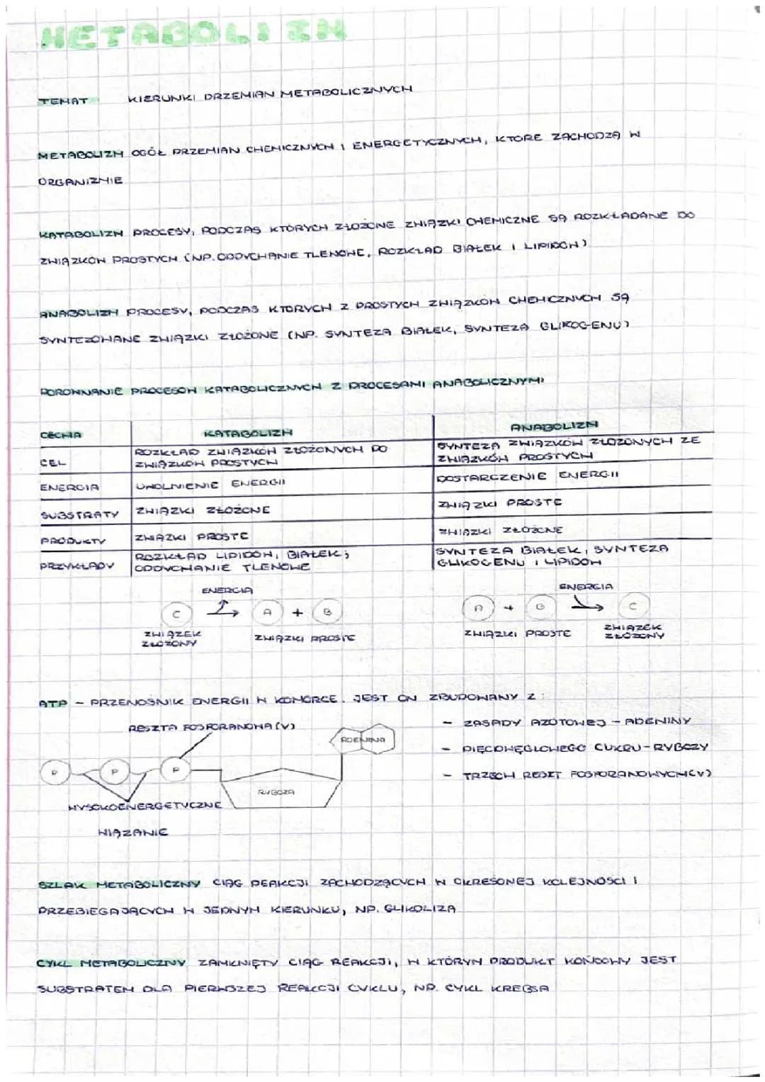 Metabolizm 