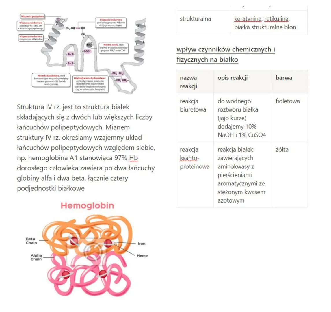 Białka
stanowią budulec wszystkich błon plazmatycznych. Jako enzymy kierują procesami
metabolicznymi. Nie istnieją procesy życiowe, w któryc