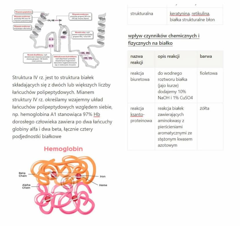Białka
stanowią budulec wszystkich błon plazmatycznych. Jako enzymy kierują procesami
metabolicznymi. Nie istnieją procesy życiowe, w któryc