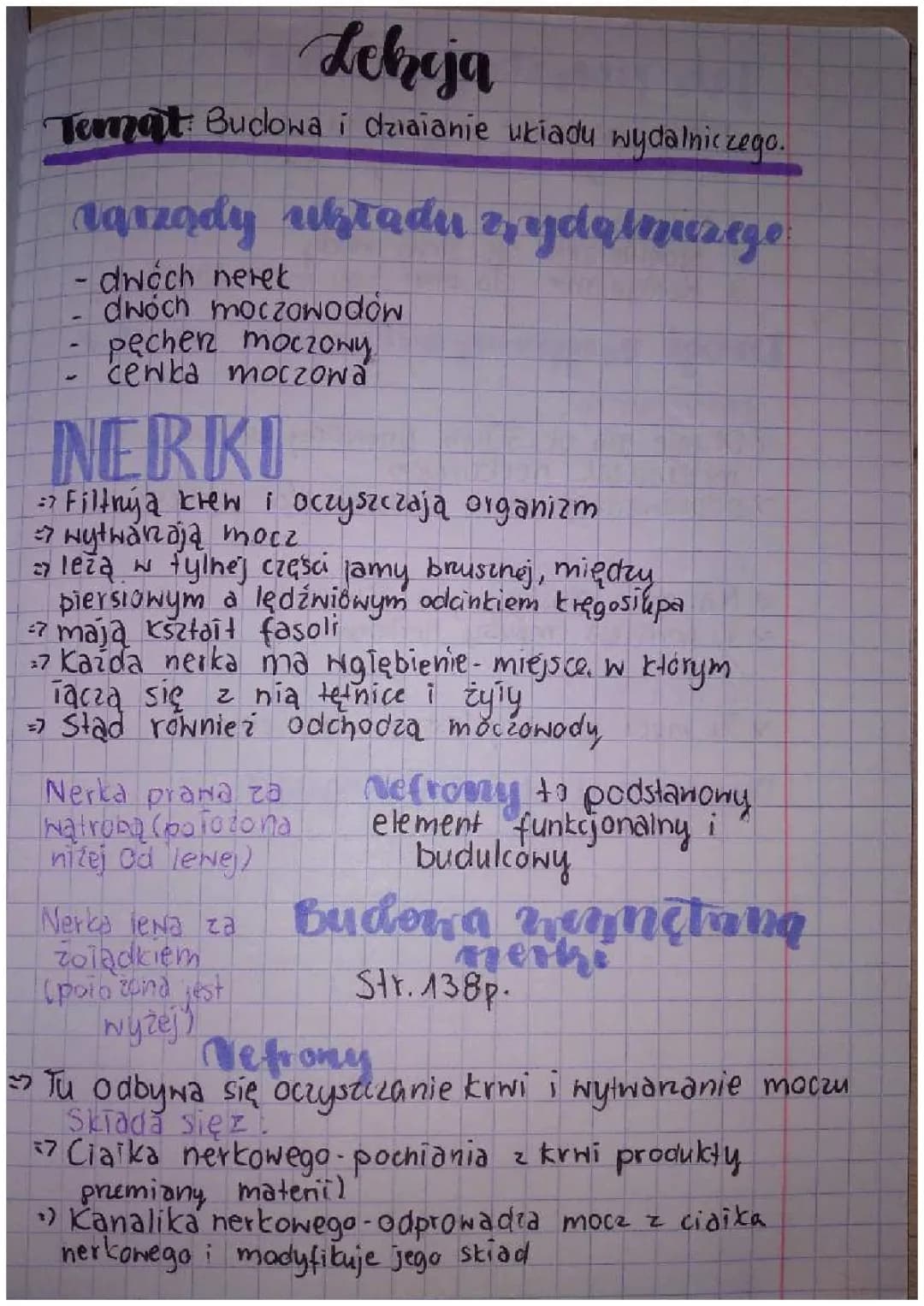 Budowa I działanie układu wydalniczego 