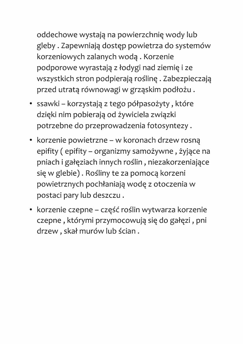 BUDOWA I FUNKCJE KORZENIA
Funkcje korzenia:
b) umocowanie rośliny w podłożu
c) pobieranie z gleby wody z rozpuszczonymi solami
mineralnymi
K