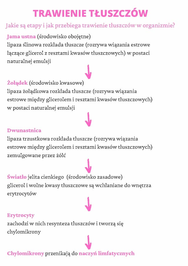 Know Trawienie tłuszczów thumbnail