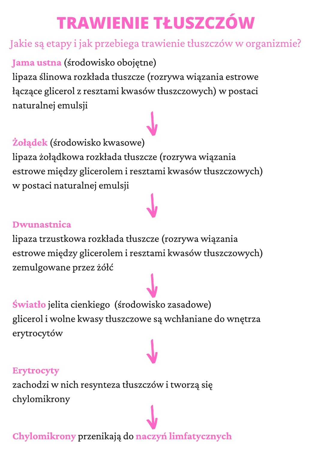 TRAWIENIE
TŁUSZCZÓW
Jakie są etapy i jak przebiega trawienie tłuszczów w organizmie?
Jama ustna (środowisko obojętne)
lipaza ślinowa rozkład