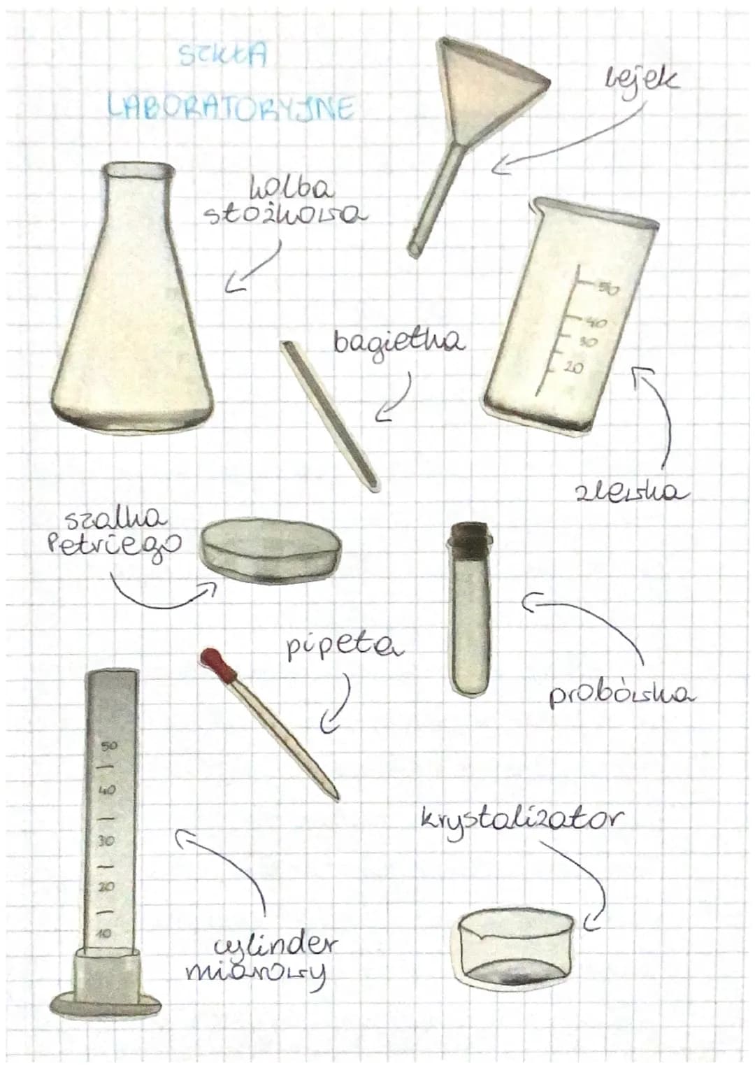 STREA
LABORATORYJNE
szalla
Petriego
81 81 81 5 1 g
holba
stożhoisa
bagietha
pipeta
2
cylinder
miaroLy
20
bejek
alesha
probosha
krystalizator