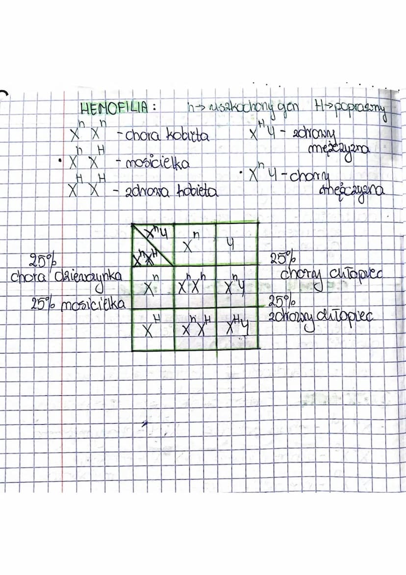 T: Dzechiczenie pici. Cechy sprzecione a picą.
2.
8
Chromosomy (46)
U
człowieka występują 23 pary chromosomor
chromosomy płci:
to taw autodo