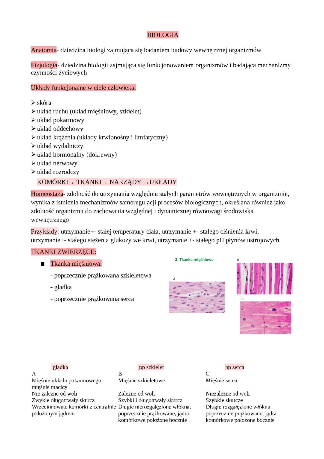 Wszystko o Tkankach Zwierzęcych - Anatomia i Rodzaje