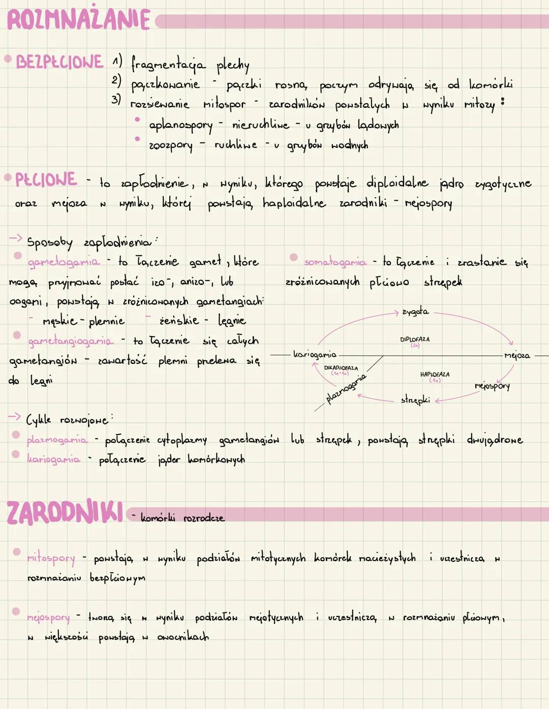 Matura Biologia: Wszystko o Grzybach i Symbiozie | Arkusze, Książki i PDF-y