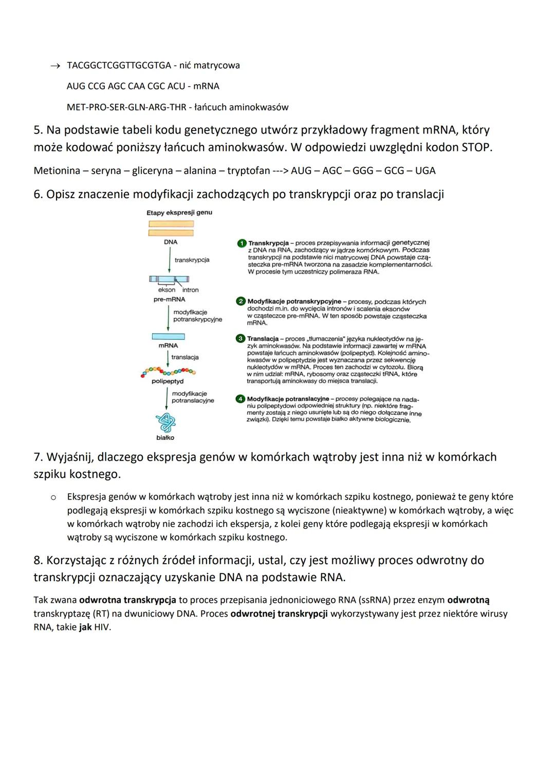 1.Porównaj funkcje trzech rodzajów RNA
→ rRNA - (rybosomy RNA)
O Po połączeniu z białkami tworzy rybosomy, na których zachodzi biosynteza bi